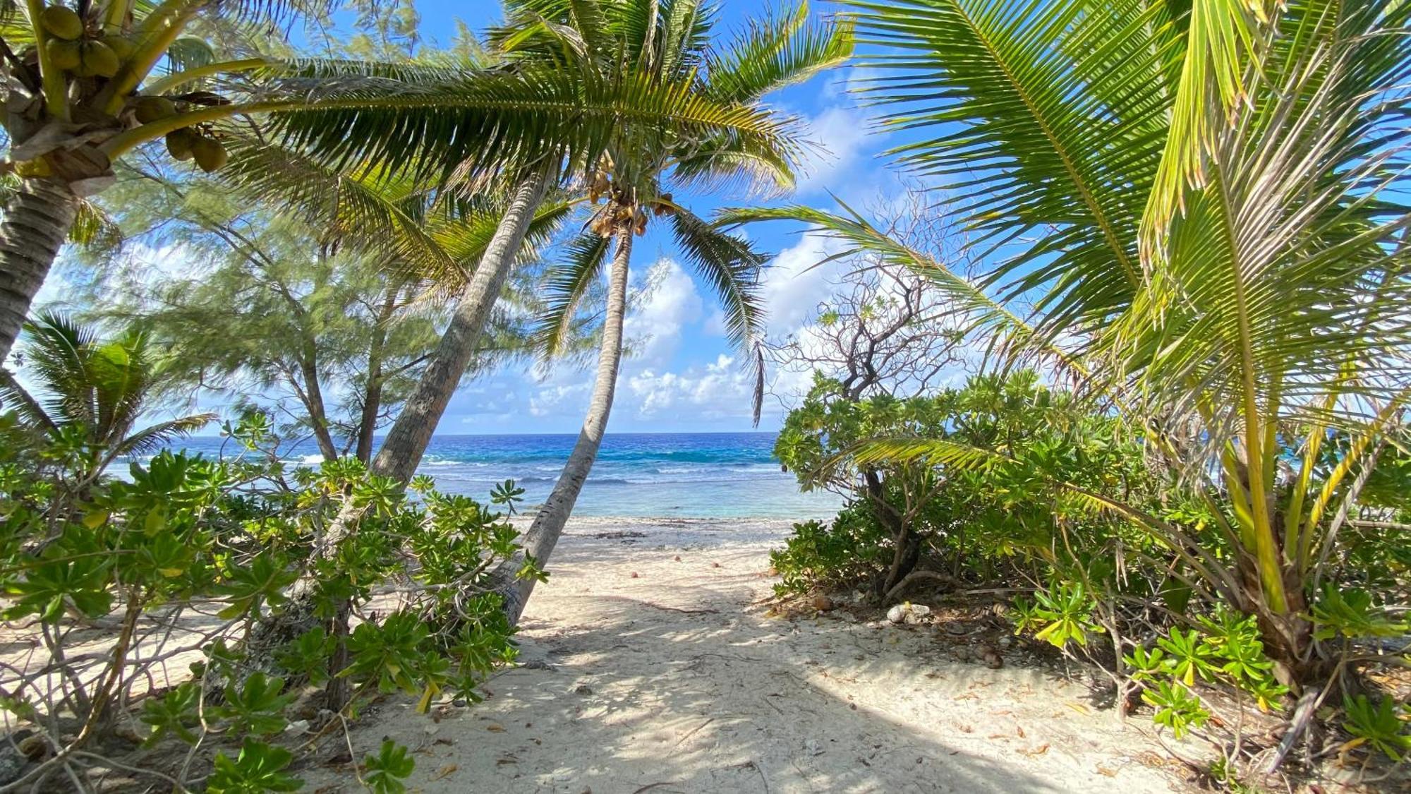 Moorea Chill And Beach Lodge Teavaro Екстериор снимка